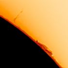 Protuberanzen der Sonne vom 4. März 2023