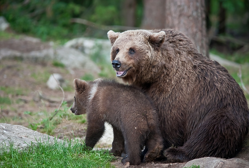 Proud Mum