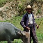 Proud old man and his buffalo