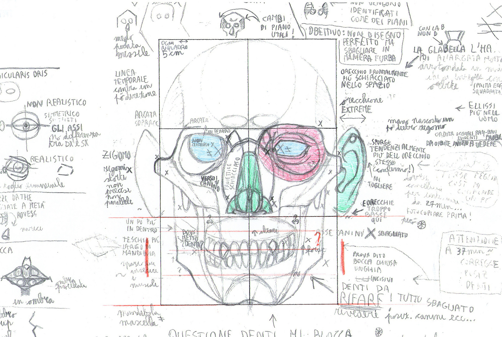 prova anatomia frontale