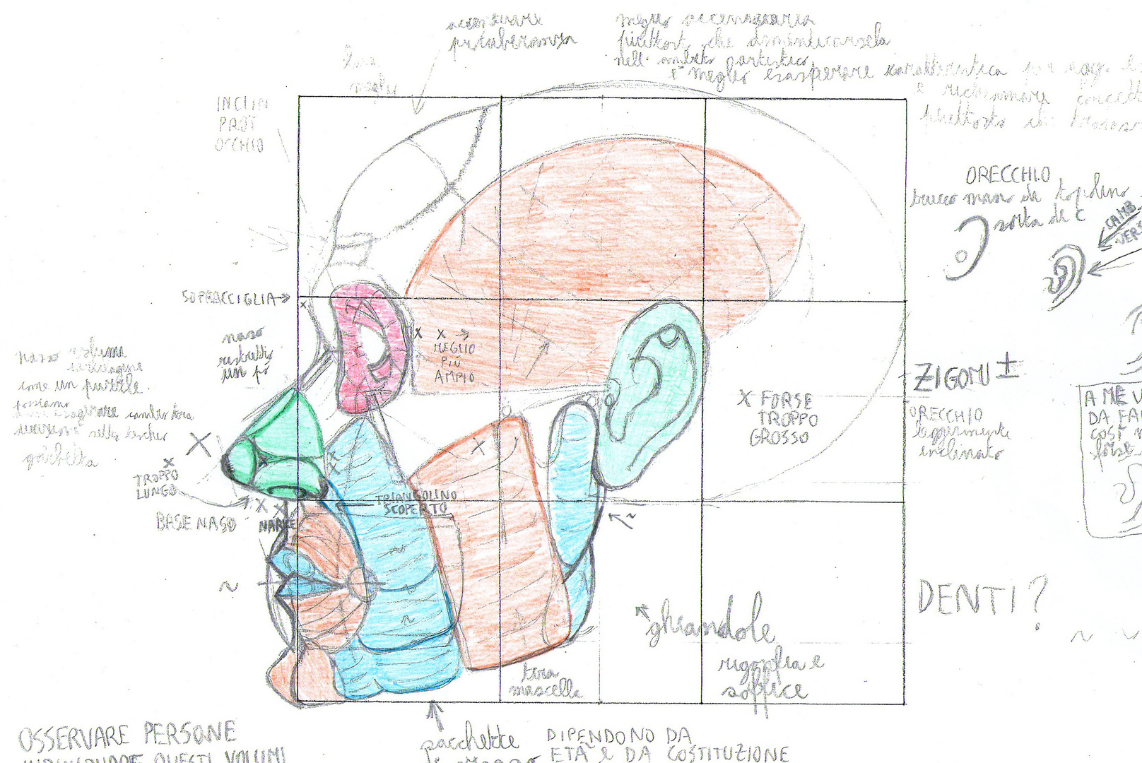 prove anatomia laterale