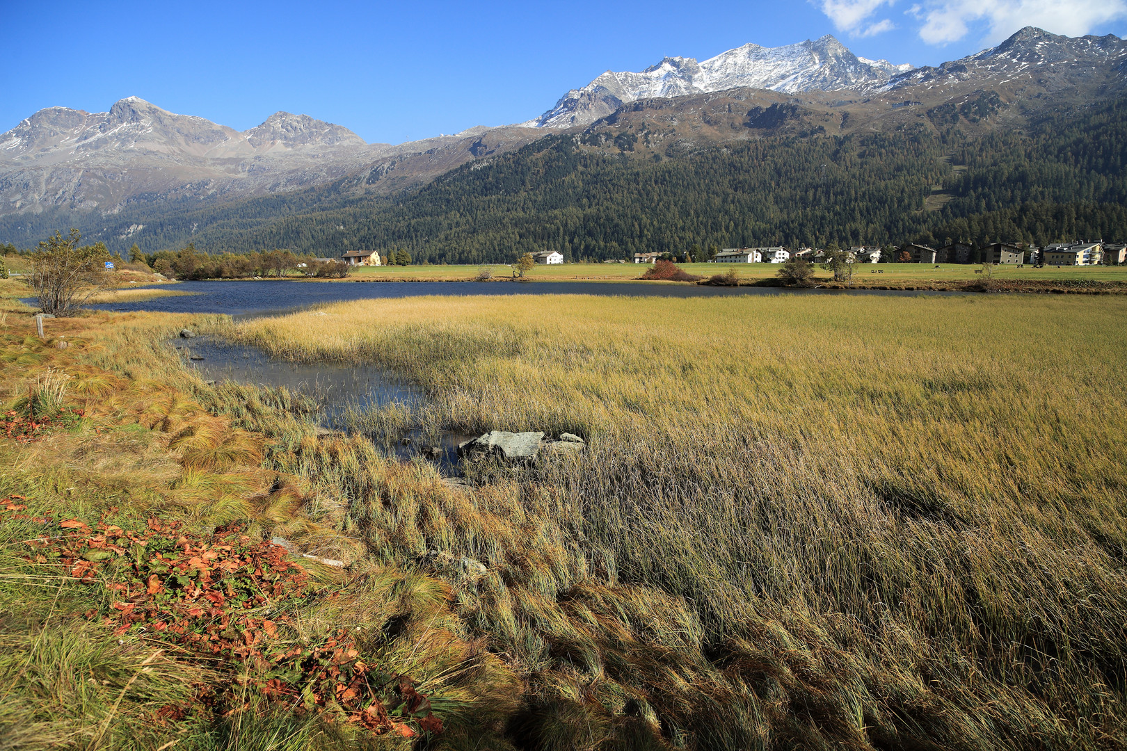 Prove d'autunno