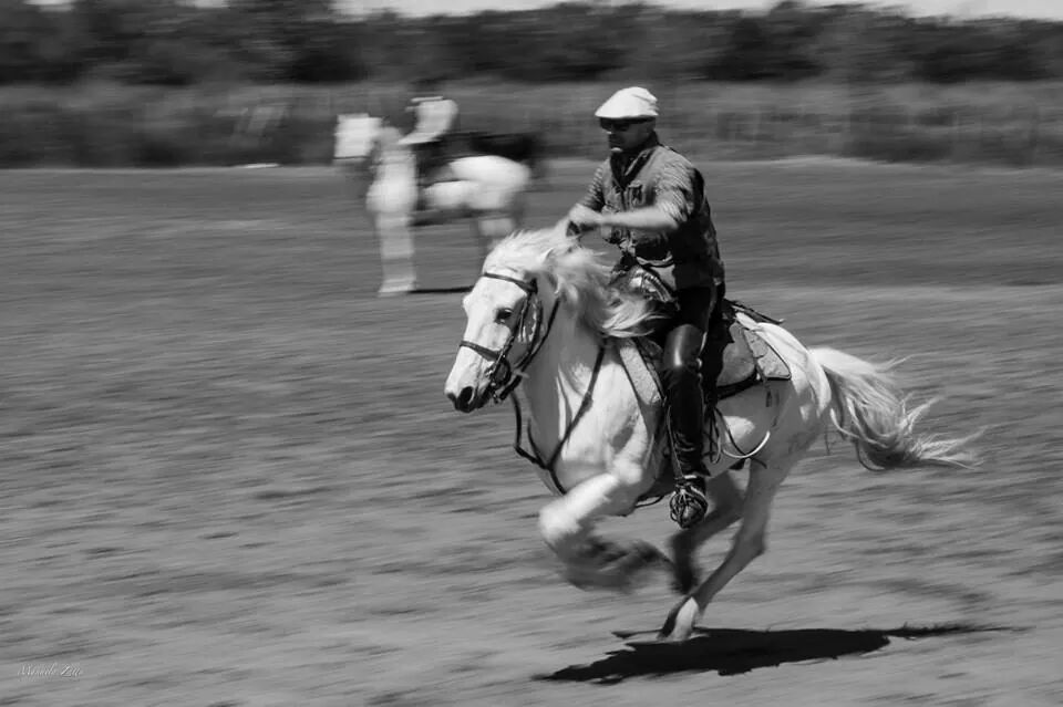 prove di panning