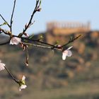 Prove generali di primavera: Agrigento 30 gennaio