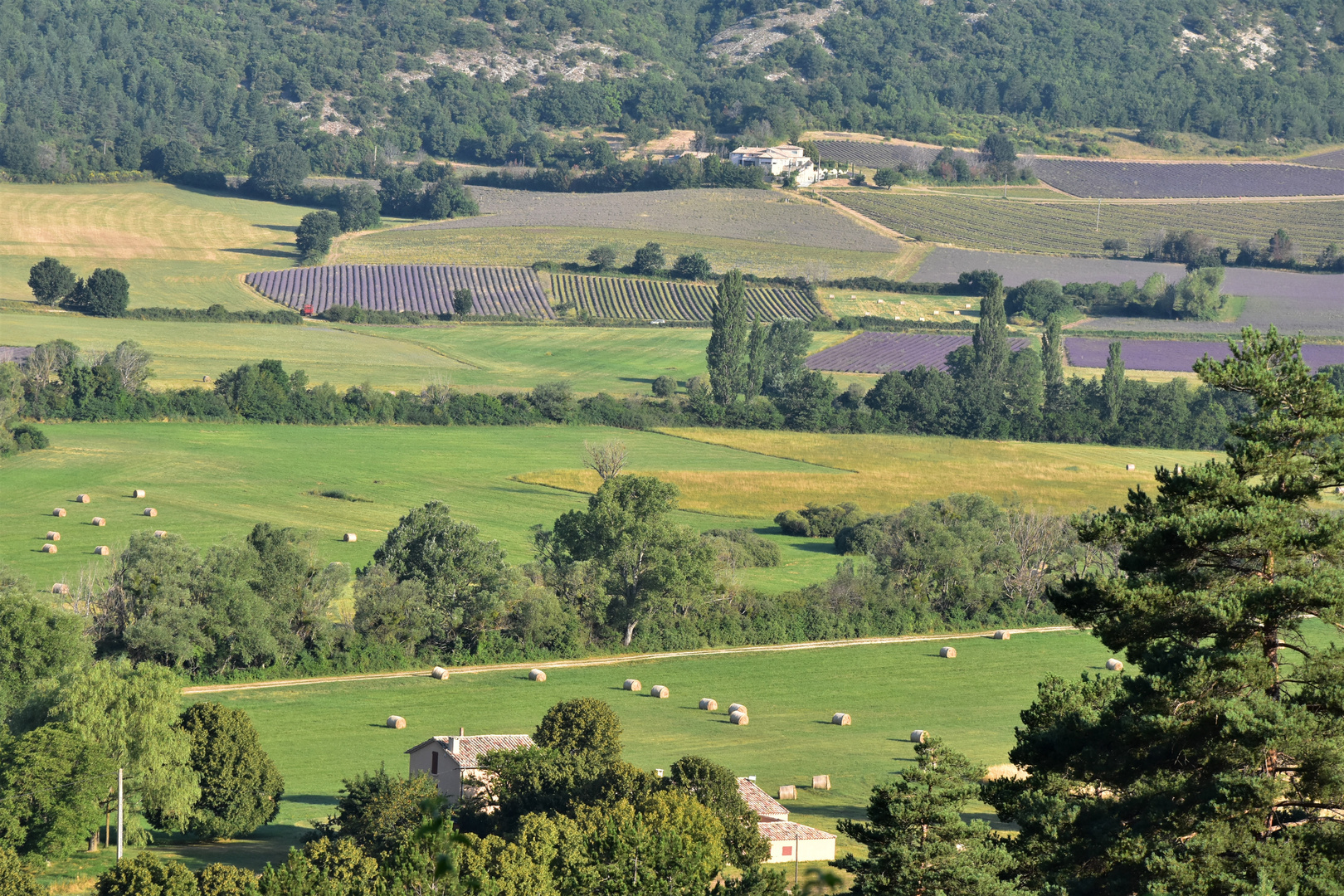 Provence 