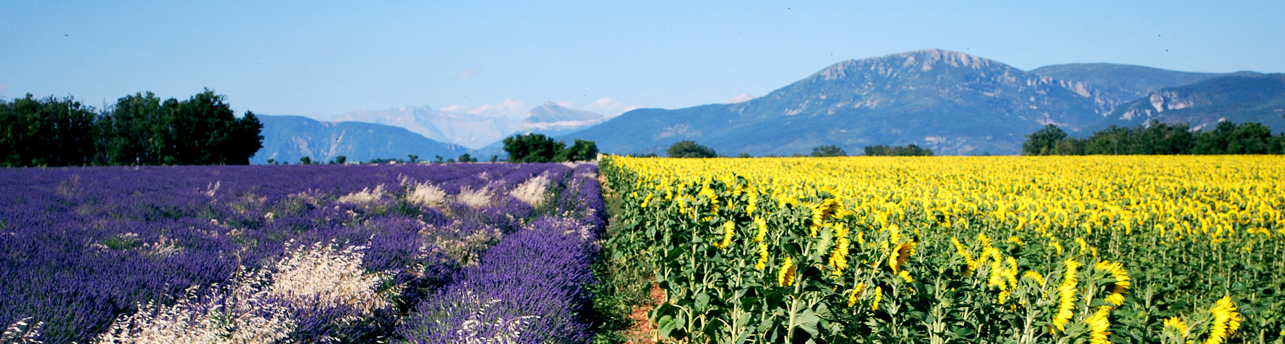 Provence