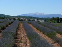 Provence