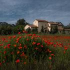 Provence