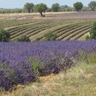 Provence 1