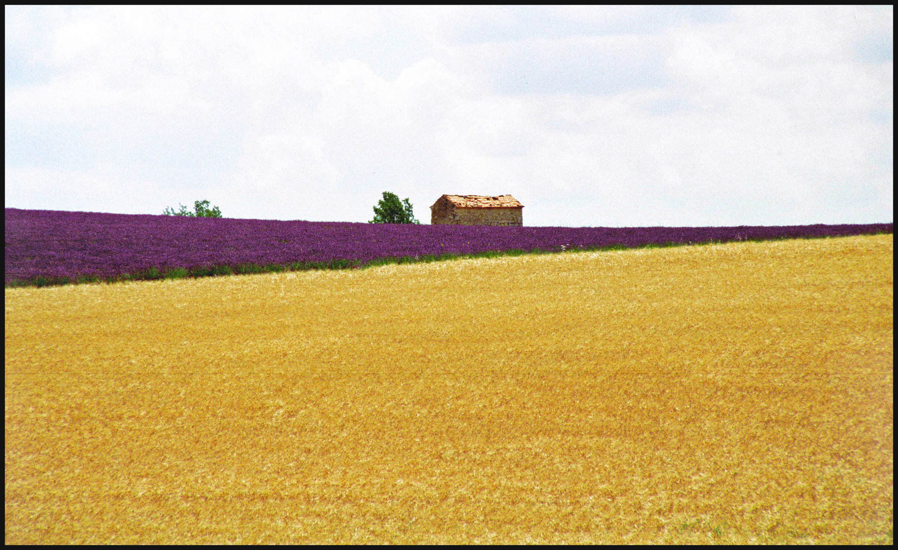 Provence