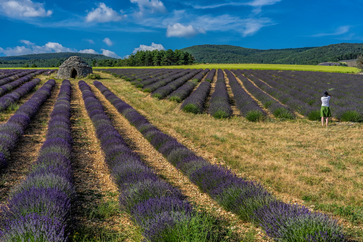 Provence