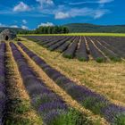 Provence