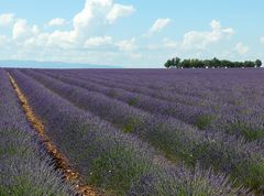 Provence