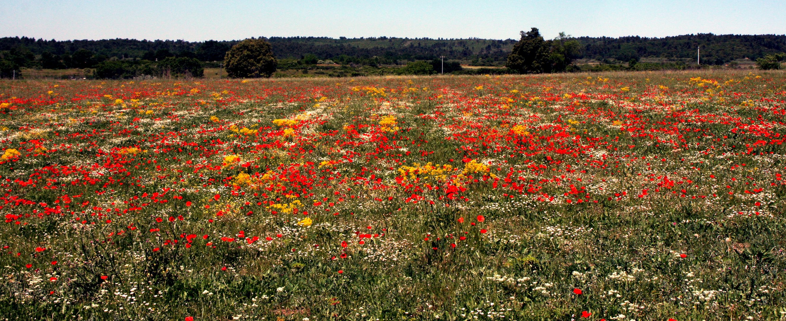 Provence 2