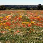 Provence 2