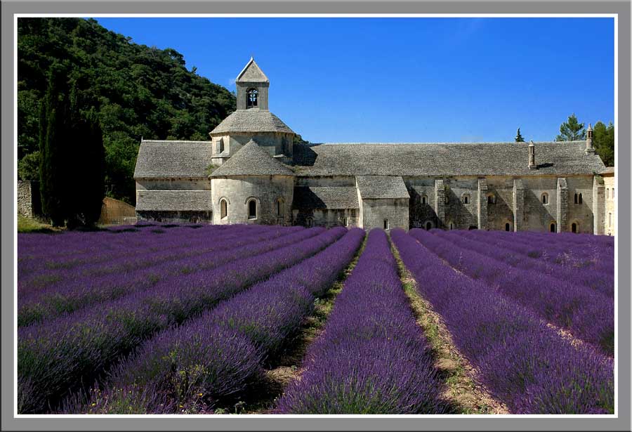 Provence 2005 _ 08