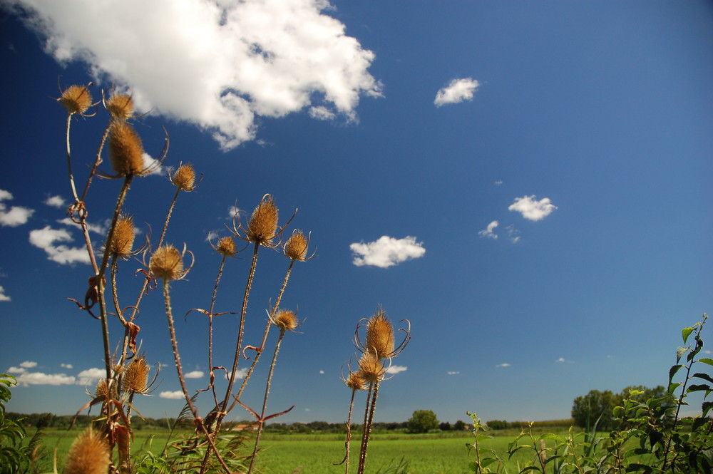 Provence