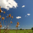 Provence