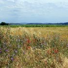 Provence