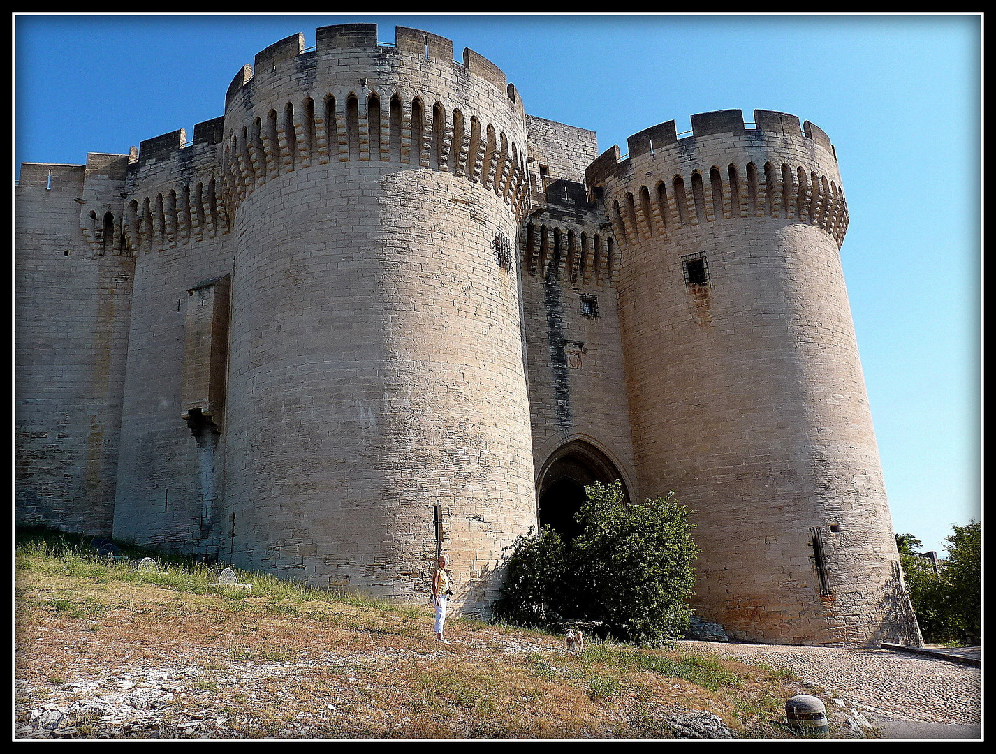 Provence 