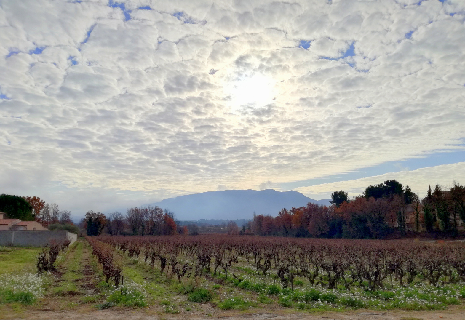 Provence .....