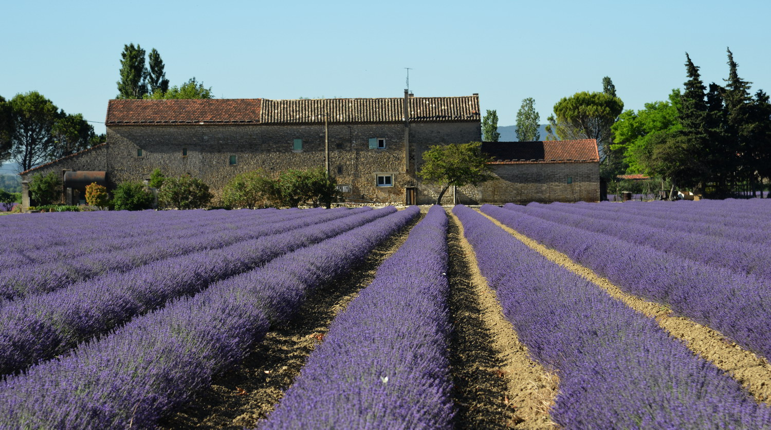 Provence