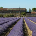 Provence