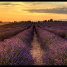 Provence