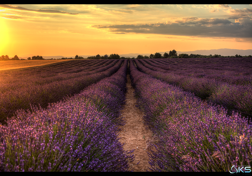 Provence