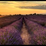 Provence