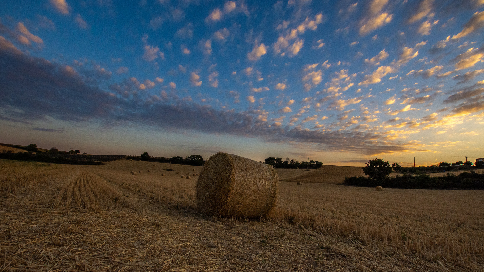 Provence