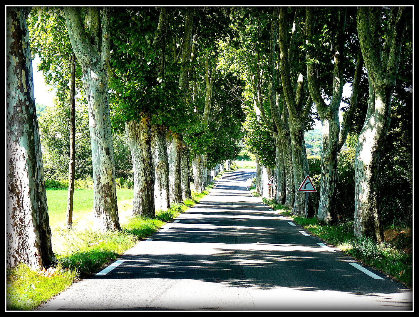 Provence 