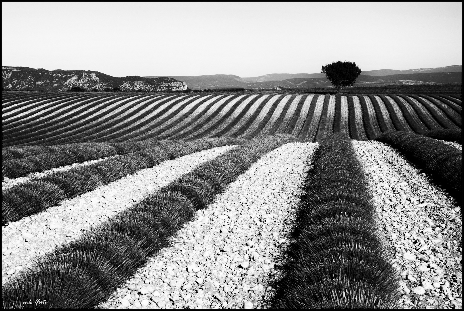 Provence