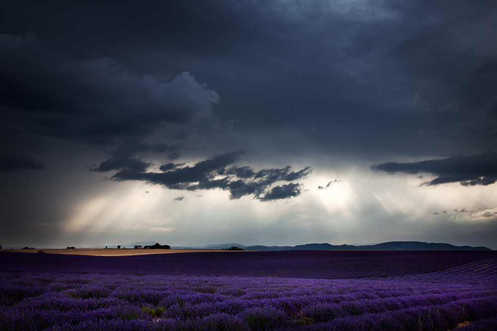 Provence