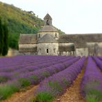 Provence - Abbaye de Senanque