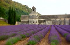 Provence - Abbaye de Senanque