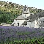 Provence - Abbaye de Sénanque - Gordes