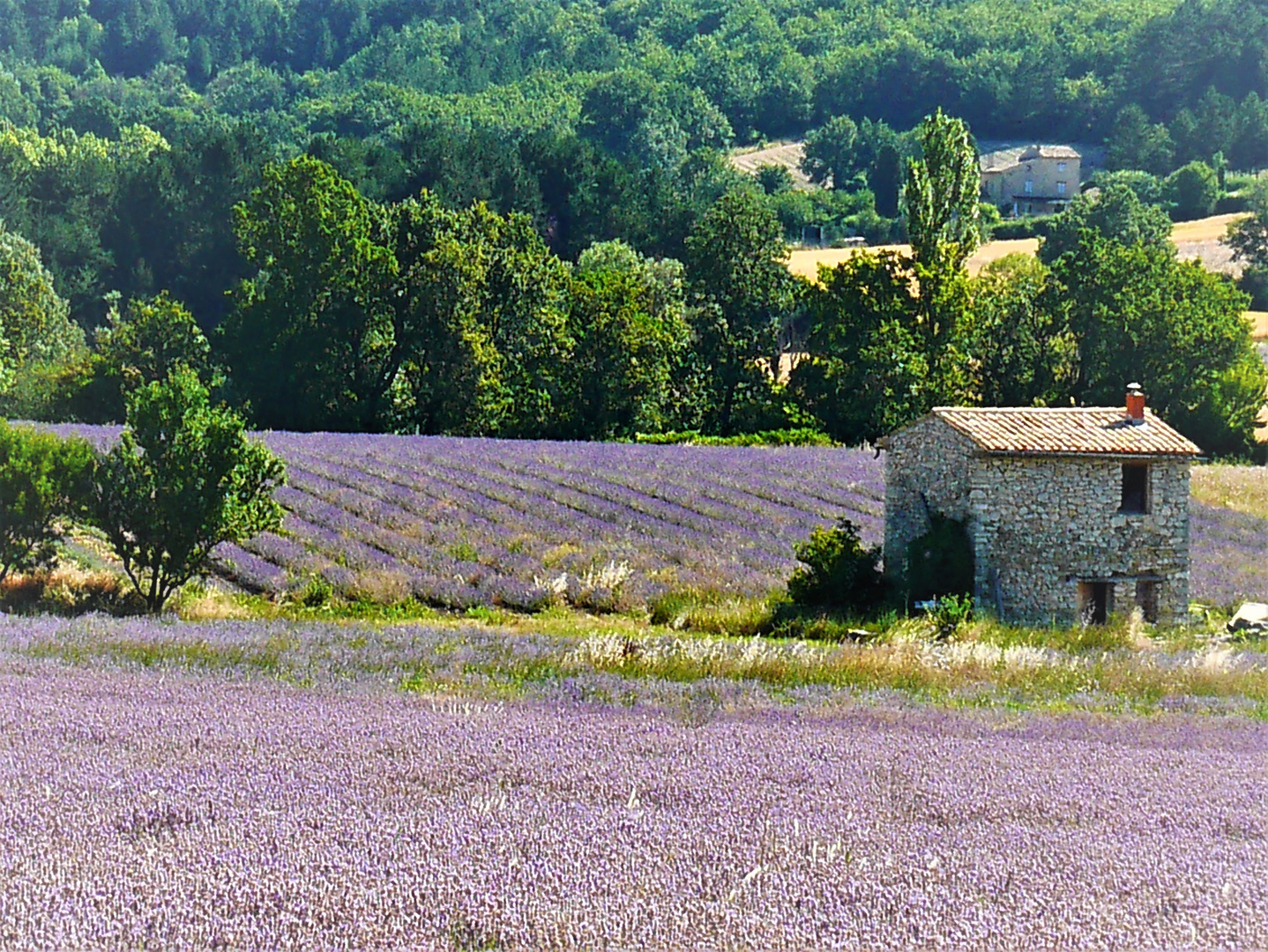 Provence