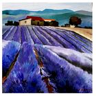 Provence