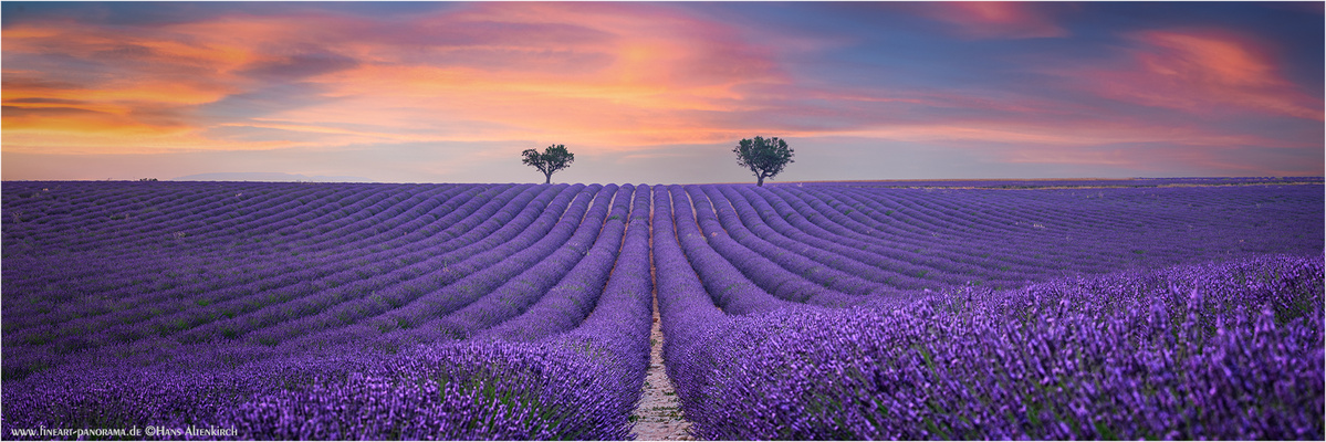 Provence