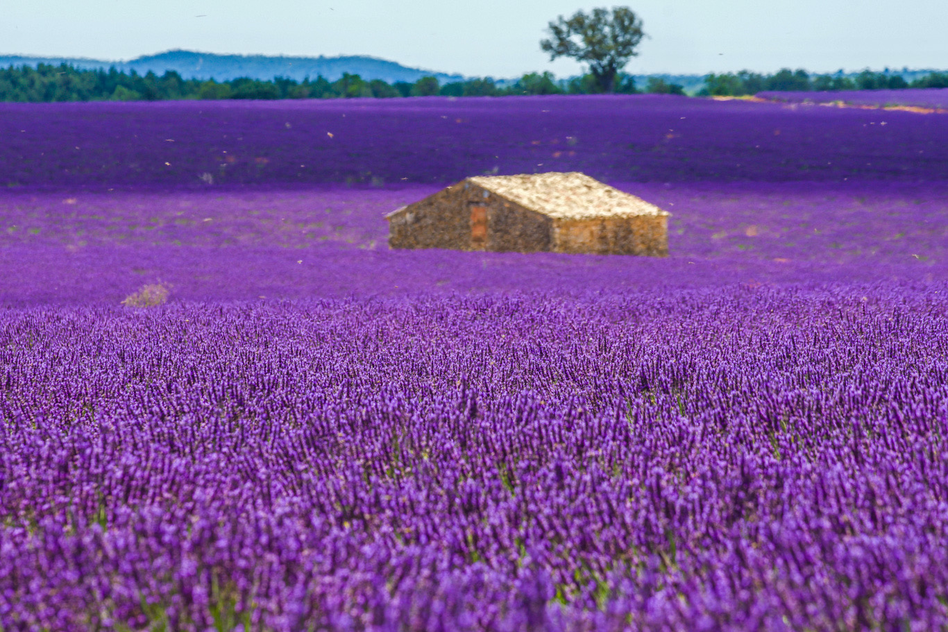 Provence