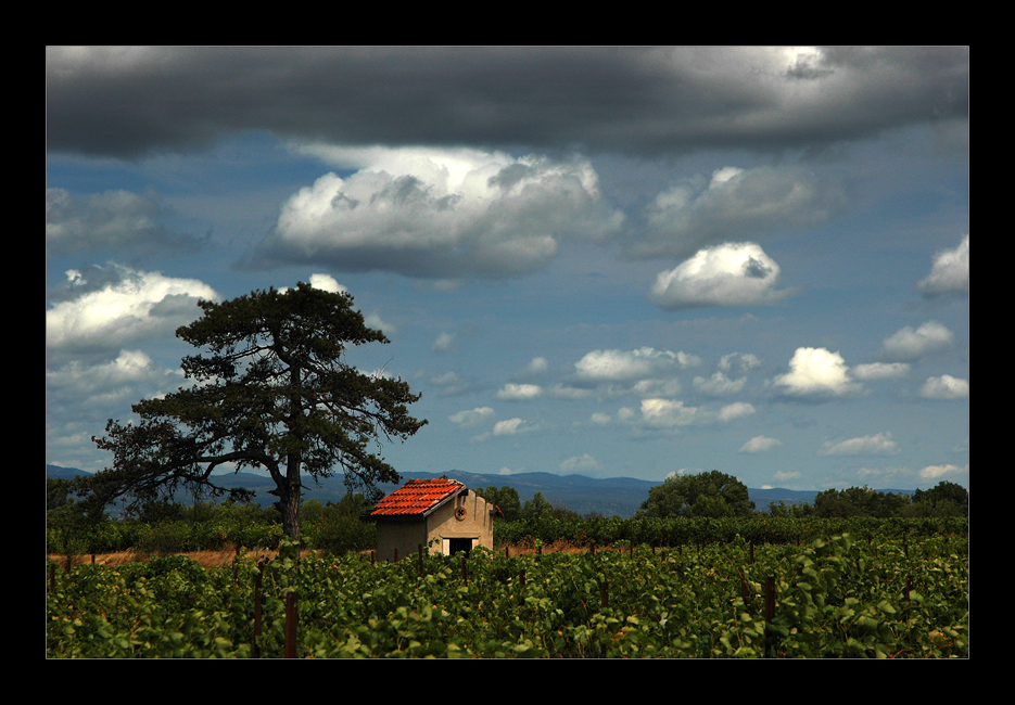 ...provence...