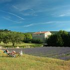Provence - bei Bonnieux