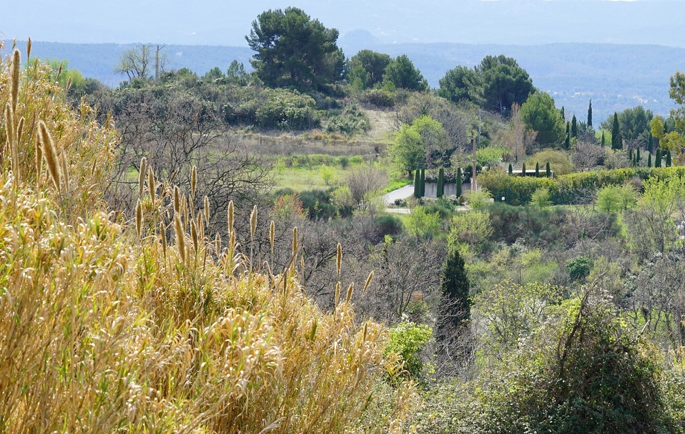 Provence bei Salon