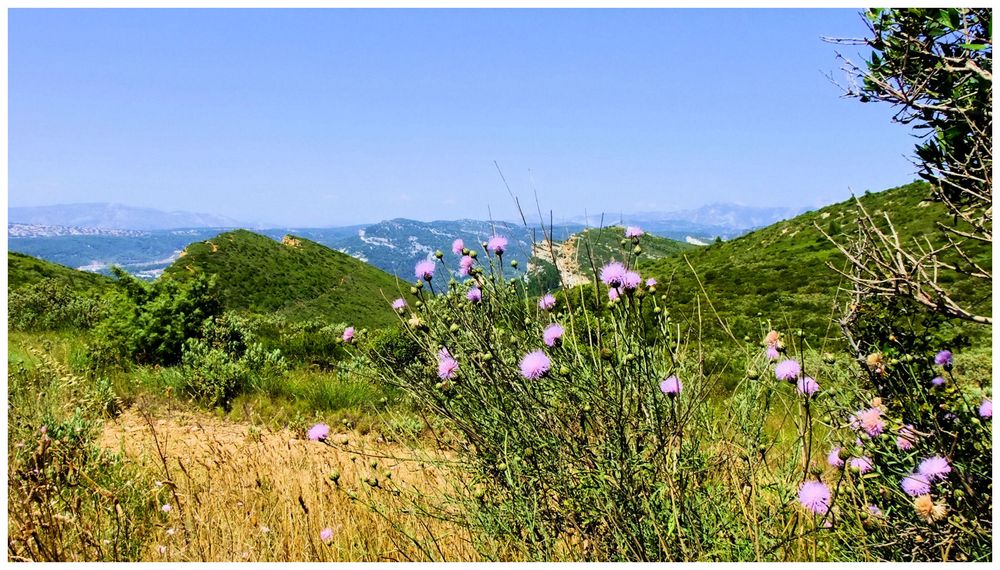 Provence côtière