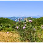 Provence côtière