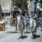 provence cowboys.