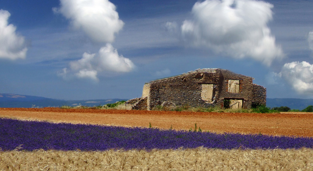 provence