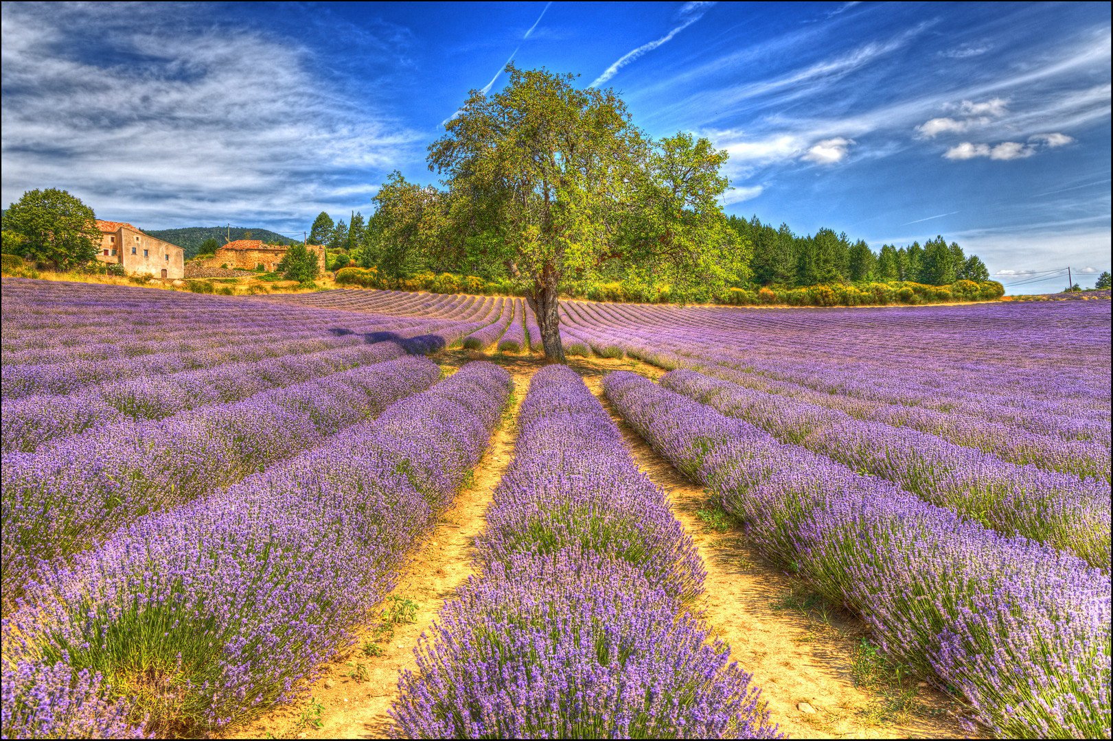 Provence