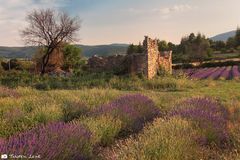 Provence